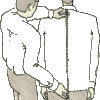 shirt lengt