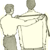 shoulder